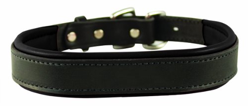 0842688049731 - PERRI'S PADDED LEATHER DOG COLLAR, BLACK/BLACK, SMALL/3/4 X 16 - FITTING DOGS WITH 10 - 13 NECKS