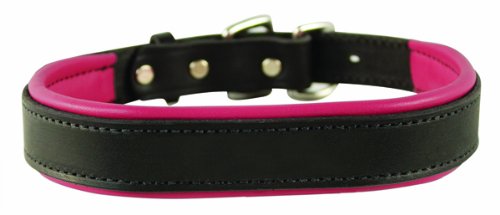 8426880513836 - PERRI'S PADDED LEATHER DOG COLLAR, BLACK/PINK, LARGE1.25 X 25 FITTING DOGS WITH 16 - 20 NECKS