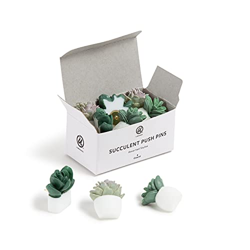 0843463136165 - U BRANDS SUCCULENT PUSH PINS SET, OFFICE SUPPLIES, THREE ASSORTED STYLES, 9 COUNT