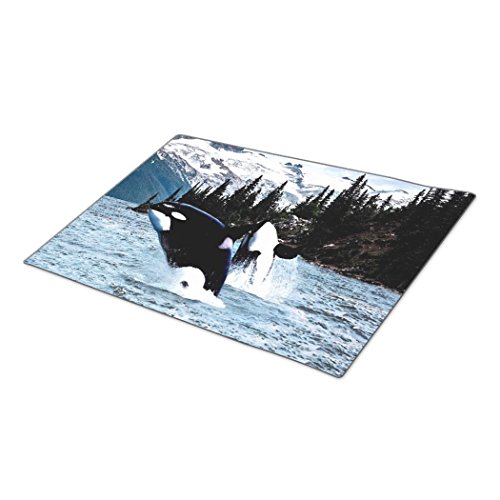 8437192110316 - DOORMAT LEAPING WHALES HOUSE MAT