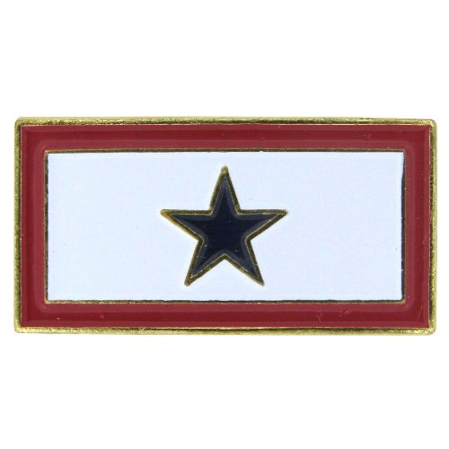 0844560011195 - US FLAG STORE SERVICE BLUE STAR FLAG LAPEL PIN