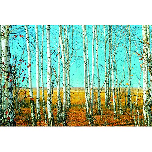 0845805070519 - 31.5 IN. H X 47.2 IN. W SERENITY WOODS ARTWORK IN TEMPERED GLASS WALL ART