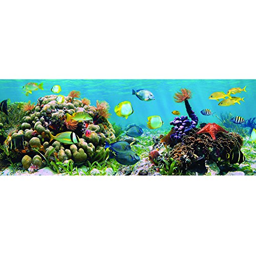 0845805071431 - SHDAS32243-REV1 UNDER THE SEA II PRINTED ON TEMPERED GLASS WALL ART