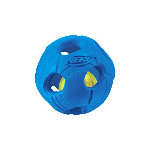 0846998020848 - NERF DOG SMALL LED BASH BALL LIGHT-UP BLUE DOG TOY