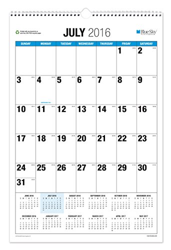 0847037187379 - BLUE SKY THE BIG PICTURE ACADEMIC YEAR MONTHLY 20 X 30 WALL CALENDAR, JUL 2016 - JUN 2017
