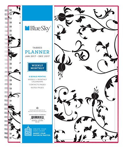 0847037195565 - BLUE SKY 2017 WEEKLY & MONTHLY PLANNER, WIRE-O BINDING, 8.5 X 11, ANALEIS