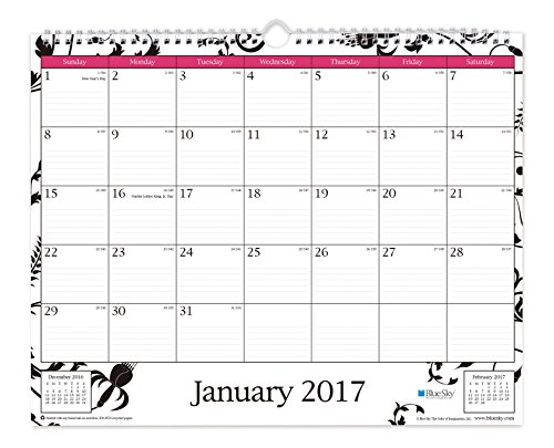 0847037195596 - BLUE SKY 2017 MONTHLY WALL CALENDAR, WIRE-O BINDING, 15 X 12, ANALEIS