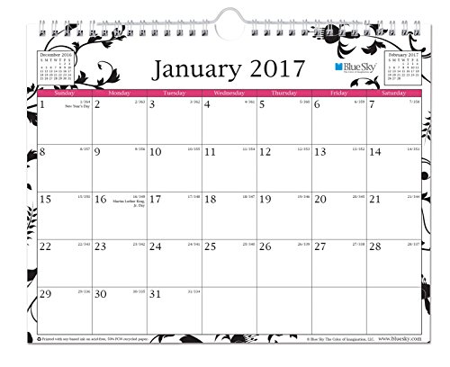 0847037195602 - BLUE SKY 2017 MONTHLY WALL CALENDAR, WIRE-O BINDING, 11 X 8.75, ANALEIS