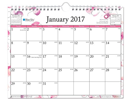 0847037195619 - BLUE SKY 2017 MONTHLY WALL CALENDAR, WIRE-O BINDING, 11 X 8.75, ORCHID