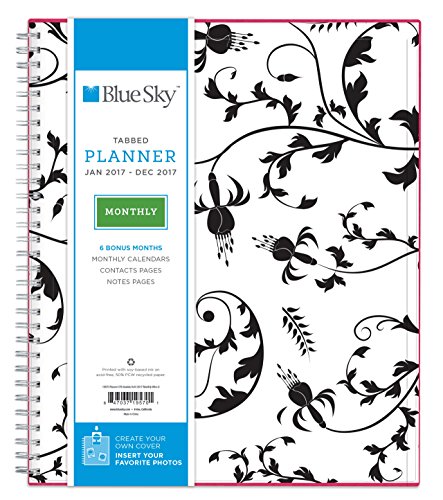 0847037195701 - BLUE SKY 2017 MONTHLY PLANNER, WIRE-O BINDING, 8 X 10, ANALEIS