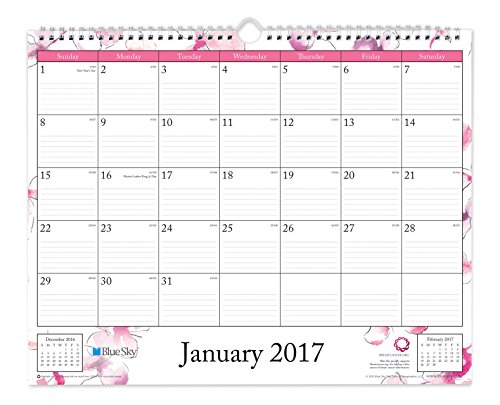 0847037195855 - BLUE SKY 2017 MONTHLY WALL CALENDAR, WIRE-O BINDING, 15 X 12, ORCHID