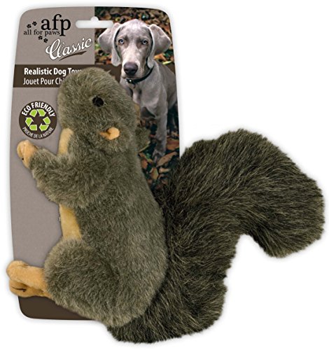 0847922040017 - ALL FOR PAWS CLASSIC SQUIRREL PET TOYS, SMALL