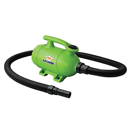 0848025012208 - XPOWER B-2 2 HP PRO-AT-HOME 2-IN-1 PET FORCE DRYER AND VACUUM, GREEN