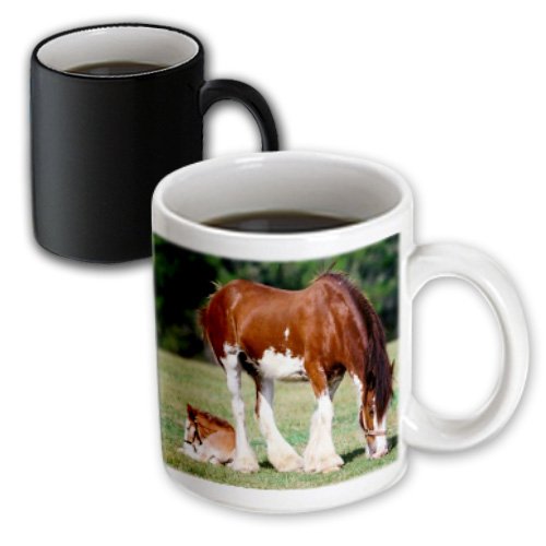 0849995075026 - 3DROSE CLYDESDALE MARE AND FOAL HORSES MAGIC TRANSFORMING MUG, 11-OUNCE