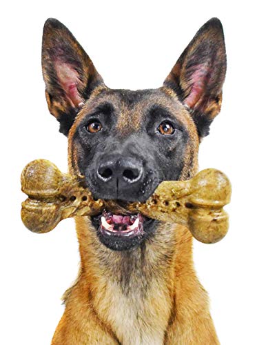 0850000085961 - PET QWERKS ALIEN BARKBONE, USA-SOURCED BEEF STEW HUMAN-GRADE FLAVOR - NYLON CHEW TOY FOR AGGRESSIVE CHEWERS, TOUGH DURABLE EXTREME POWER CHEWER BONE | MADE IN USA - L FOR LARGE BREED DOGS