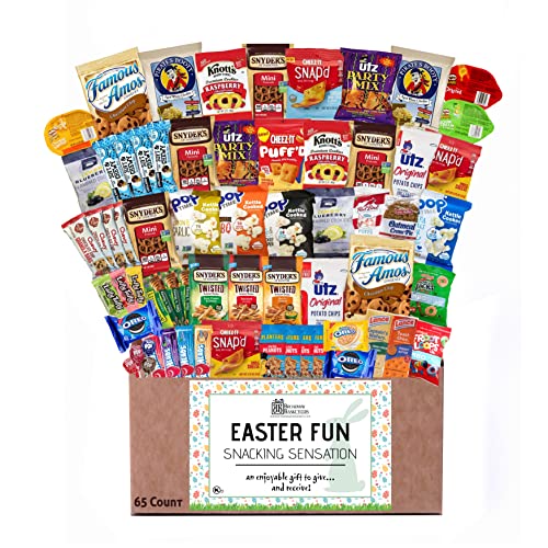 0850040894288 - EASTER SNACK BASKET BOX FOR KIDS AND ADULTS (65CT) VARIETY PACK CARE PACKAGE FOR TEENS, FAMILY, MILITARY, COLLEGE STUDENTS, - COOKIES, CHIPS, CRACKERS, PRETZELS, CANDY, TREATS, HEALTHY SNACKS
