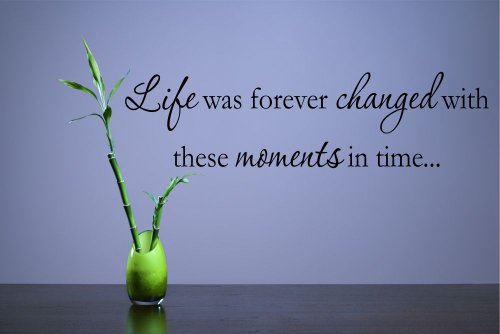 0852666961313 - LIFE WAS FOREVER CHANGED WITH THESE MOMENTS IN TIME...VINYL WALL DECALS QUOTES SAYINGS WORDS ART DECOR LETTERING VINYL WALL ART INSPIRATIONAL UPLIFTING