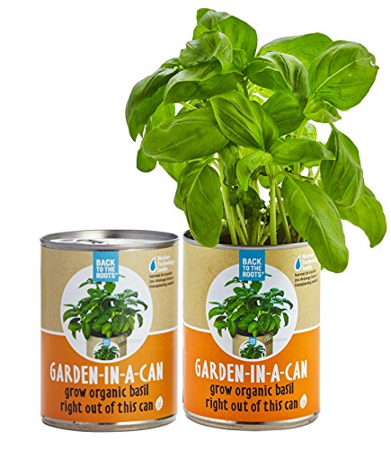 0853036006146 - BACK TO THE ROOTS GARDEN-IN-A-CAN, GROW ORGANIC BASIL, 2 COUNT