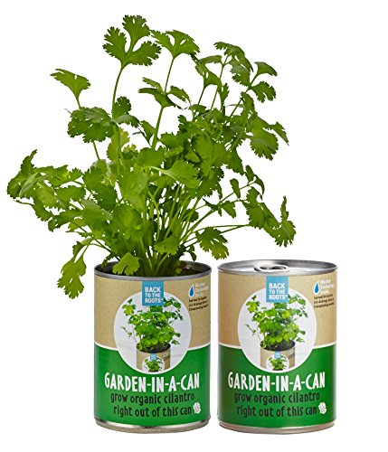 0853036006153 - BACK TO THE ROOTS GARDEN IN A CAN GROW ORGANIC CILANTRO, 2 COUNT