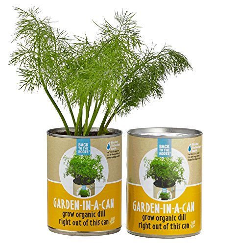 0853036006405 - BACK TO THE ROOTS GARDEN IN A CAN GROW ORGANIC DILL, 2 COUNT