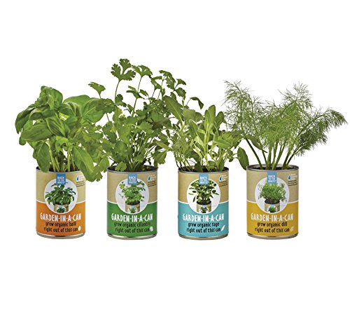 0853036006436 - BACK TO THE ROOTS GARDEN-IN-A-CAN GROW ORGANIC HERBS VARIETY PACK, BASIL/CILANTRO/DILL/SAGE, 4 COUNT