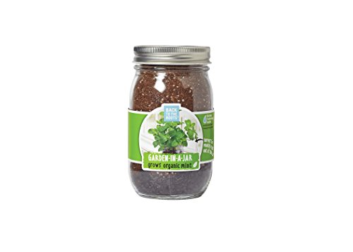 0853036006467 - BACK TO THE ROOTS GARDEN IN A JAR, MINT