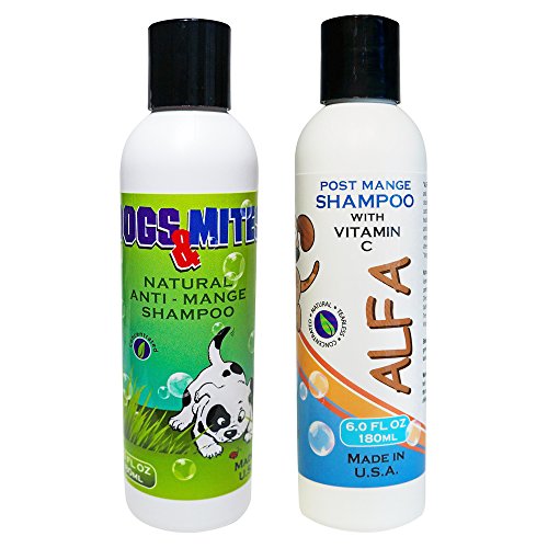0856561004151 - DEMODEX MANGE TREATMENT - DOGS N MITES SHAMPOO TO ELIMINATE SKIN PARASITES & STOP ITCHING - ALFA IS IMMUNOSTIMULATING POST DEMODEX SHAMPOO WITH VITAMIN C FOR PETS RECOVERING FROM DEMODECTIC (SARCOPTIC) MANGE - 2 X 6.0 OZ (180 ML)