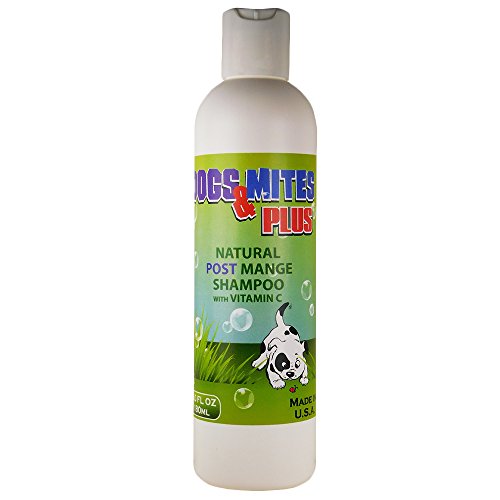 0856561004816 - DEMODECTIC SARCOPTIC MANGE TREATMENT - NATURAL SHAMPOO DOGS & MITES FOR DEMODEX, ITCHING, HOT SPOTS, HAIR LOSS WITH ESSENTIAL OILS PLUS VITAMIN C - 6.0 OZ
