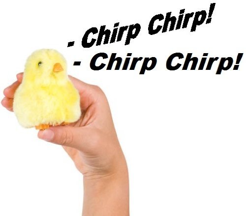 0085761137707 - CHIRPIN CHICK NOVELTY TOY
