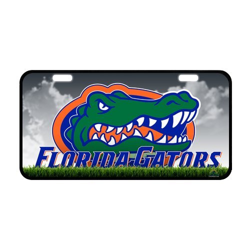8585800057390 - FLORIDA GATORS PERSONALIZED NOVELTY FRONT LICENSE PLATE DECORATIVE CUSTOM CAR TAG