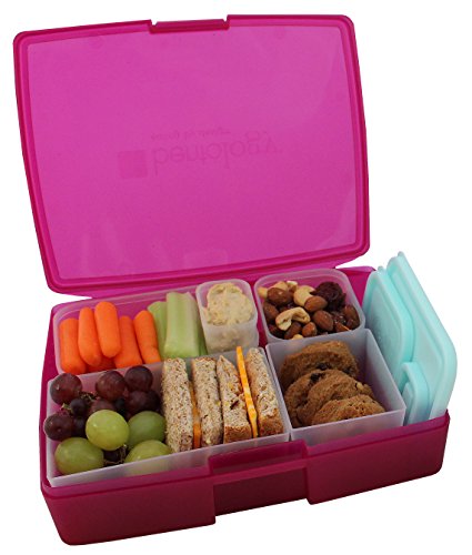 0858688005509 - LUNCH BOX - LEAKPROOF TRANSLUCENT RASPBERRY BENTO BOX WITH 5 BLUE CONTAINERS - USA MADE