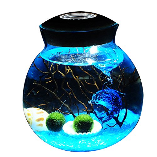 Work Desk Decoration Two years old, Blue ite Gravel OMEM Aquarium Kits-Living Moss Ball,Valentine gift Sea Fan Cone Seashell 