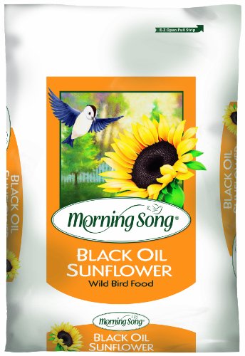 0086155151705 - COMPANY SBD1015170 MORNINGSONG BLACK OIL SUNFLOWER 50 LB