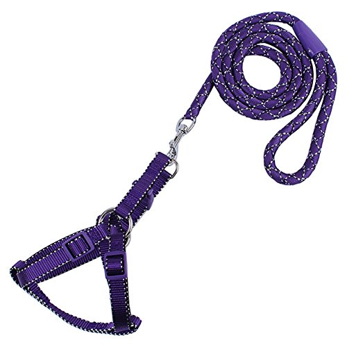 8616412302711 - GENEIRC ULTRA STRONG DOG LEASH 25INCH COLOR PURPLE