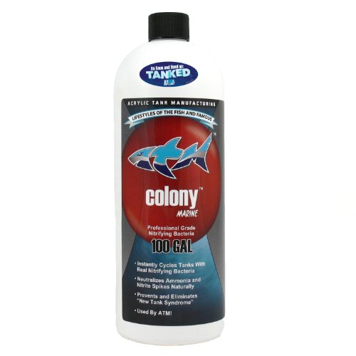 0870317004165 - ATM COLONY NITRIFYING BACTERIA SALTWATER FOR AQUARIUM, 32-OUNCE