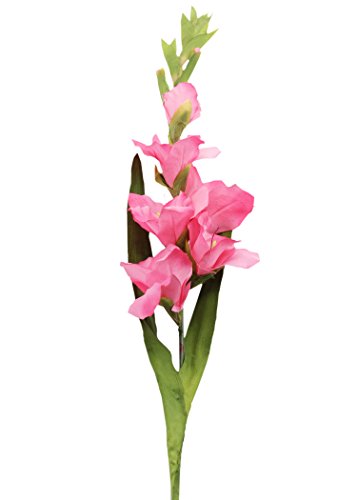8736180003754 - ADMIRED BY NATURE 6PCS ARTIFICIAL GLADIOLUS SPRAY FOR HOME, WEDDING, RESTAURANT, OFFICE & PARTY EVENT DECORATION ARRANGEMENT, 38 H, 2 TONES PINK