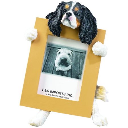 0875623007190 - CAVALIER KING (TRI-COLOR) CHARLES SPANIEL 2.5 X 3.5 PICTURE FRAME