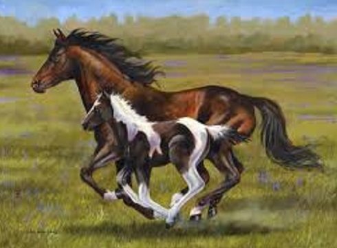 0087918282339 - ROYAL PLUSH RASCHEL HORSES KEEPING UP WITH MOM 50 IN X 60 IN
