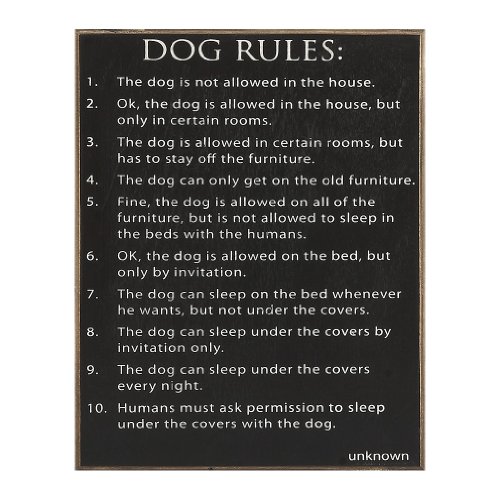 0879972002486 - COLLINS DOG RULES DECORATIVE SIGN