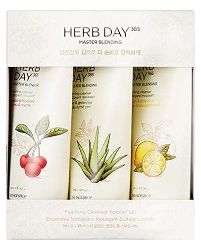 8806182582325 - THEFACESHOP HERB DAY 365 MASTER BLENDING FOAMING CLEANSER SPECIAL SET