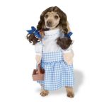 0883028591176 - PET WIZARD OF OZ DOROTHY LARGE