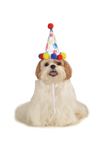 0883028653157 - RUBIE'S PET BIRTHDAY HAT, SMALL TO MEDIUM, BOY PAW PRINT