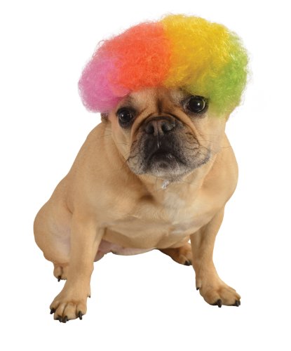 0883028655052 - RUBIE'S WIG FOR PETS, SMALL TO MEDIUM, RAINBOW AFRO
