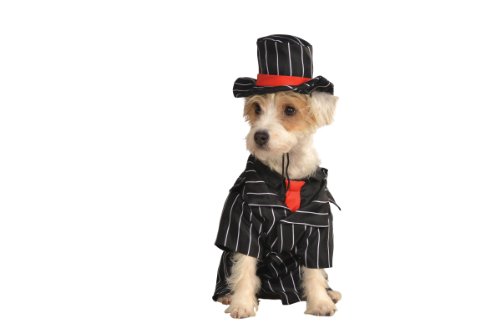 0883028782680 - RUBIE'S PET COSTUME, X-LARGE, GANGSTER