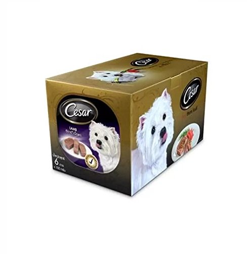 0884193701476 - PACK OF 6 CESAR DOG FOOD LAMB IN MEATY JUICES FOR SMALL DOG 3.5 OZ EACH