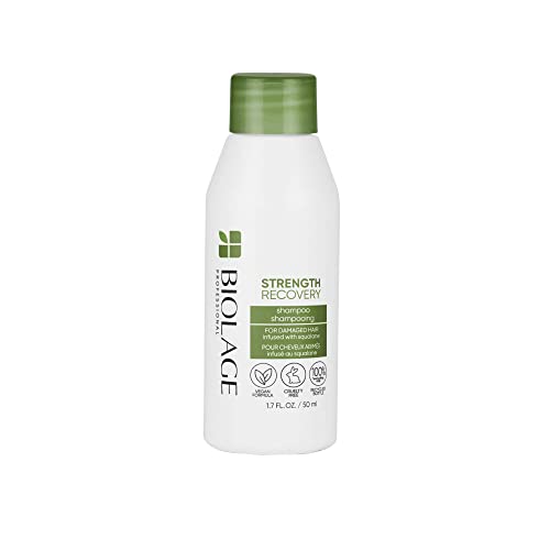 0884486496706 - BIOLAGE STRENGTH RECOVERY SHAMPOO | GENTLY CLEANSES & REDUCES BREAKAGE | FOR ALL DAMAGED & SENSITIZED HAIR TYPES | VEGAN | CRUELTY-FREE | 1.7 FL OZ