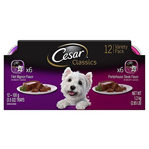 0884740262214 - CESAR CANINE CUISINE VARIETY PACK FILET MIGNON AND PORTERHOUSE STEAK DOG FOOD (12 PACK)