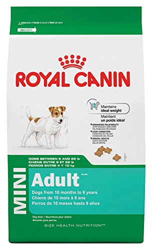 0885129194720 - ROYAL CANIN 14-POUND ADULT DRY DOG FOOD, MINI