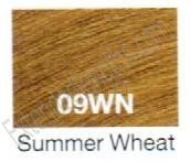 0885134196580 - REDKEN SHADES EQ CREAM HAIR COLOR - 09WN SUMMER WHEAT