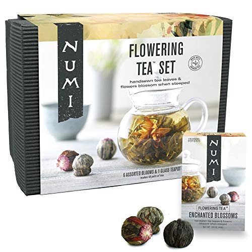 0885142219554 - NUMI ORGANIC TEA FLOWERING TEA GIFT SET, 6 TEA BLOSSOMS WITH 16 OUNCE GLASS TEAPOT (PACKAGING MAY VARY)